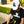 Signature Dad Cap